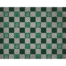 Vigordurus Harry Potter: Slytherin Ruled Notebook