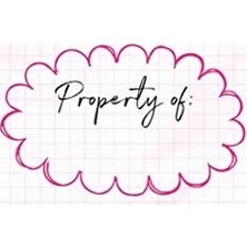 Vigordurus Mean Girls: The Burn Book Hardcover Ruled Journal