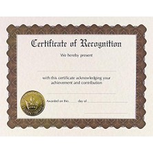 Vigordurus Papers! Tanıma Sertifikası Önceden Basılmış, Altın Folyo ve Kabartmalı, 8.5" x 11", 6 Adet (930200)