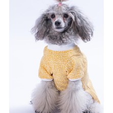 Pawstar Yellow-Sarı Basic Kedi Köpek Sweat- Kedi Köpek Kıyafeti