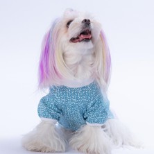 Pawstar Blue-Mavi Basic Kedi Köpek Sweat- Kedi Köpek Kıyafeti