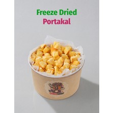 ÇITLAT ÇEREZ SHOP Freeze Dried Portakal Dondurularak Kurutulmuş Küp Dilim 30 gr