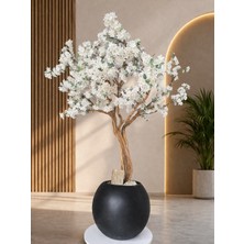 Dekoratif Beyaz Sakura Bonsai Ağacı – Modern Salon & Ofis Bitkisi