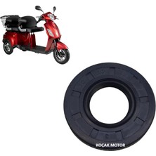 Özerdem Elektrikli Üç Tekerlekli Difransiyel Aks Keçesi 20-42-7 ( 2 Adet )