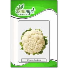 Sunagri Karnıbahar Tohumu 105 Adet Tohum Sebze Tohumu