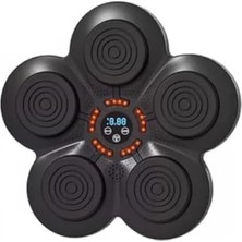 Calperia Müzikli Duvar Boks Padi - Eğlenceli Antrenman