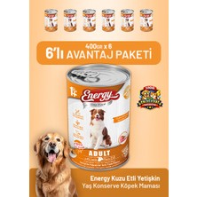 Dog food energy Kuzu Etli Yetişkin Yaş Köpek Maması 400 G - 6 Adet