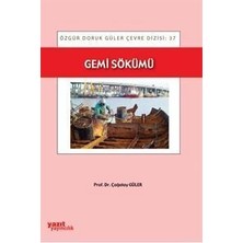  yazıt yayınları gemi sökümü