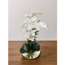 Lüks Beyaz Orkide Aranjmanı – Salon & Ofis Dekorasyonu