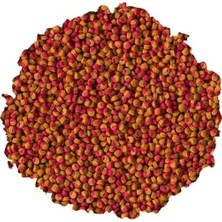 Calperia Cichlid Renk Artırıcı Mini Yem - 100GR