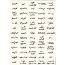 Calperia Suya Dayanıklı 65 Adet Baharat ve Bakliyat Etiketi