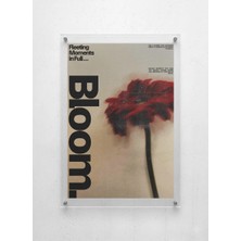 Lamazif Pleksi Cam Duvar Tablosu – “bloom” Tipografik Çiçek Temalı Modern Sanat Poster | Akrilik Tablo
