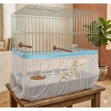 Regina Kafes Tülü Xl Boy Lüx Kafes Tülü Xl Beden ( Karışık Renk Gönderilecektir)