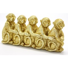 Polyester 5 Maymun  Veralya Tech