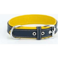 Calperia Ultra Dayanıklı Deri Köpek Tasması - Çift Katlı, Lacivert-Sarı