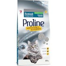 Aktif Karbonlu Kedi Kumu 20 L