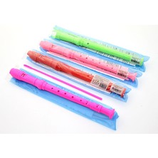 Renkli Plastik Flüt  Veralya Tech