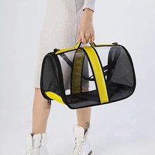 Calperia Şeffaf Taşıma Çantası, Büyük Boy, Seyahat Için Ideal