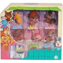 Calperia Kuru Yem Ürünü, 6'lı Paket