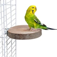 Calperia Doğal Ağaç Kuş Tüneği Yuvarlak Tünek - Ahşap