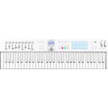 Calperia 61 Tuşlu Mıdı Kontrolcü - Duyarlı ve Taşınabilir