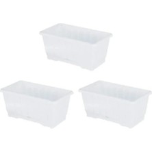 Calperia 3'lü Set Plastik Saksı 20 x 10 x 17 cm