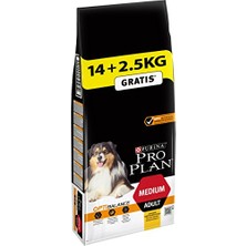 Pro Plan Medium Adult Tavuklu Yetişkin Köpek Maması 16,5 kg