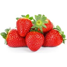 Calperia Çilek Çoklu Tohum Paketi - 3 Gram