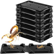 Calperia 6 Adet Yapışkan Akrep Tuzağı, Güvenli Iç Mekan Kullanımı