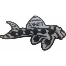 Calperia Akvaryum Yapışkan Vatoz Balığı Derece