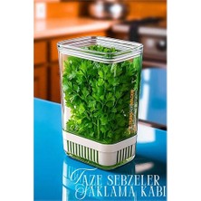 General Hsnet Yeşillik Saklama Kabı - Taze Yeşillik Için - Soğan Maydanoz Vb Yeşillik Saklama