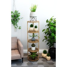 AVC Trade 5 Katlı Yuvarlak Ahşap Çiçeklik - Premium Atlantik Çam Stand