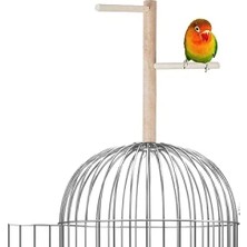 Calperia Ağaç Sopalı Kuş Tüneği 23 cm