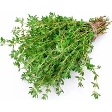 Calperia Kekik Tohumu (Çoklu Paket) - 3 Gram