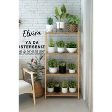 AVC Trade Atlantik Çam 4 Raflı Modern Kitaplık - Kolay Montaj Dekoratif Kütüphane