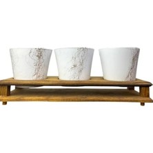 Calperia Beyaz Gold Mermer Efektli Üçlü Ahşap Tabanlı Saksı Seti