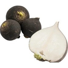 Calperia Siyah Turp Tohumu (Çoklu) - 5 Gram