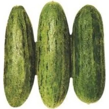 Calperia Acur Tüylü Tohumu (Çoklu) - 5 Gram