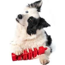 Divona Home Tira&molly Mini Köpek Ödül Oyuncağı