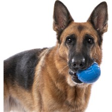 Divona Home Palla Ruga Köpek Çiğneme Oyuncağı