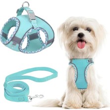 Küçük Köpek Tasması ve Kayışı, S Kodu Çekme Yok Ayarlanabilir Yansıtıcı Nefes Alabilir Fileli Basamaklı Köpek Tasması, Küçük Orta Boy Köpekler ve Kediler Için Kolay Yürüyüş Köpek Tasması