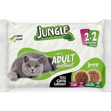 4 x 100 gr Çift Lezzet Pouch Yetişkin Kedi Kuzulu - Tavuklu