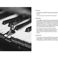 Bey The Dictionary Of Obscure Sorrows