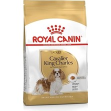 HDY Store Royal Canin Cavalier King Charles Adult Köpek Maması 3 kg Andorra Menşeli Yüksek Proteinli
