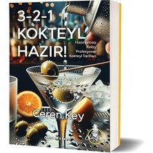 Bey 3-2-1 Kokteyl Hazır !: Hazırlaması Kolay Profesyonel Kokteyl Tarifleri