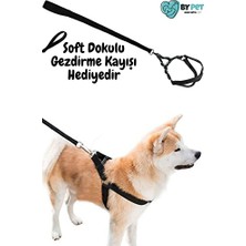 Bypet Soft Tabanlı Güvenli ve Konforlu Köpek Göğüs Tasması Seti          [enerji Sınıfı A+]
