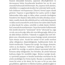 Bey Yaşam Görüsü: Dört Metafizik Denemesi