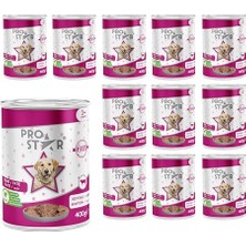 Yetişkin Köpek Biftekli Pate Yaş Mama 400 gr x 12 Adet