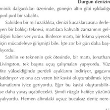 Bey Martı Jonathan Livingston