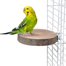 Doğal Ağaç Kuş Tüneği Yuvarlak Tünek Kuş Tünek Kütük Tünek